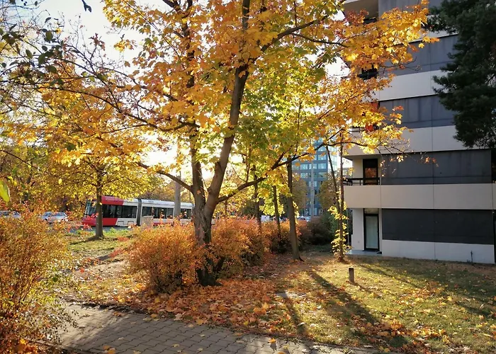 Central-apt At Lake, Citycenter 5min, Fair 18min!!! *